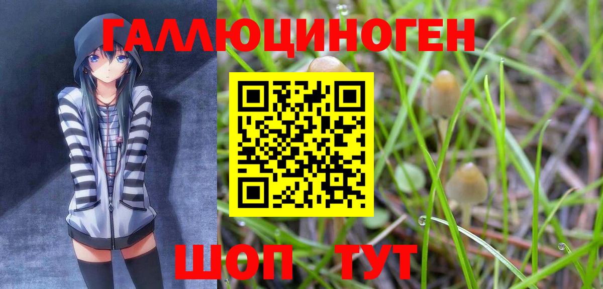 Кольчугино  Галлюциногенные грибы прущие грибы  Галлюциногенные грибы ЛСД  купить закладку  Вход с VPN 