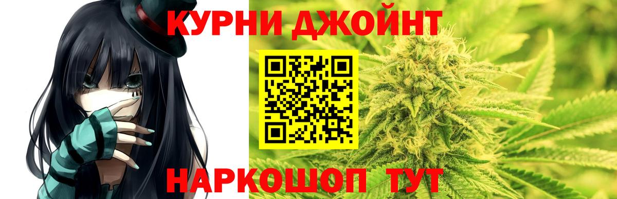 Псилоцибиновые грибы Кольчугино
